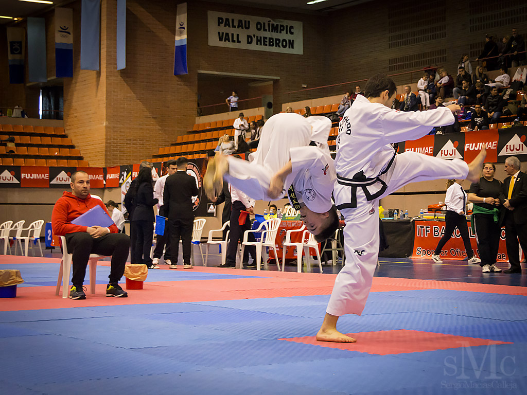 OPEN BARCELONA FUJI MAE CUP 2017_DSC9205_0204.JPG